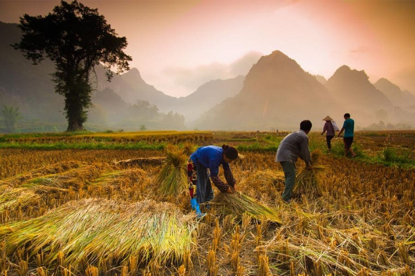 5D4N Hanoi  Bac Son Valley Ban Gioc  Ba Be Lake Tour - photo 16
